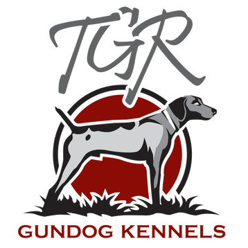 gun dog kennels for sale